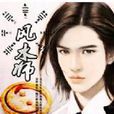風水師(網路小說) 風水師(網路小說)
