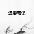 追妻筆記 追妻筆記