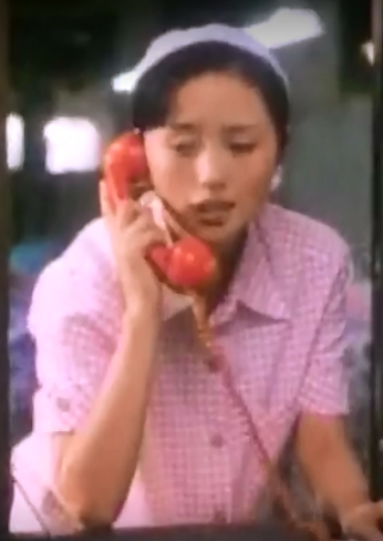 美麗的家