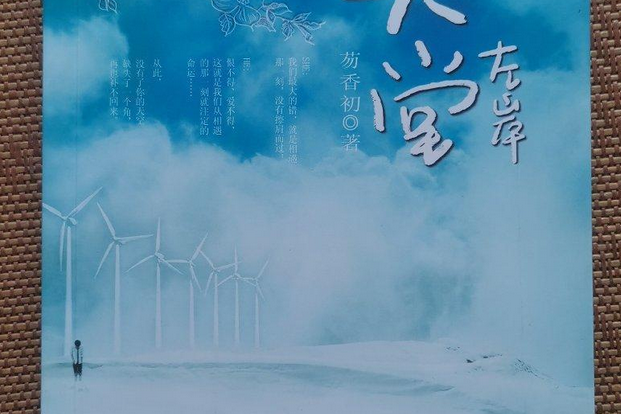 天堂左岸 天堂左岸