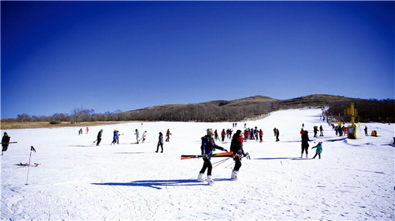 岱海滑雪場