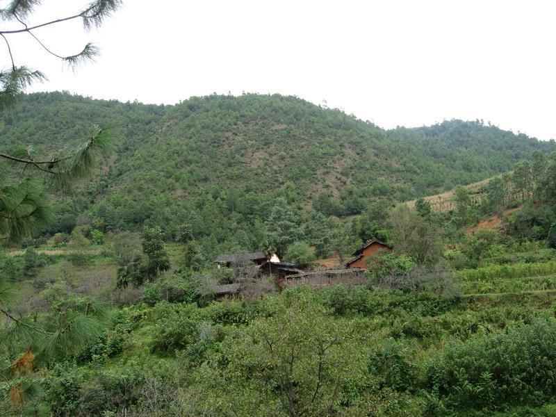 三吉村(山西省原平市西鎮鄉下轄村) 三吉村(山西省原平市西鎮鄉下轄村)