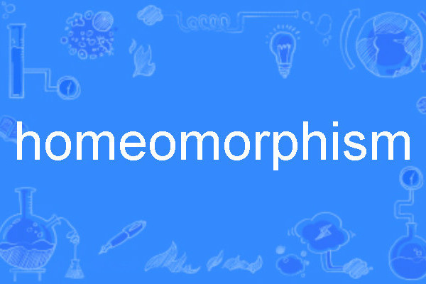 homeomorphism homeomorphism