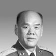苑國輝(北京軍區空軍副政委兼軍區空軍紀委書記) 苑國輝(北京軍區空軍副政委兼軍區空軍紀委書記)