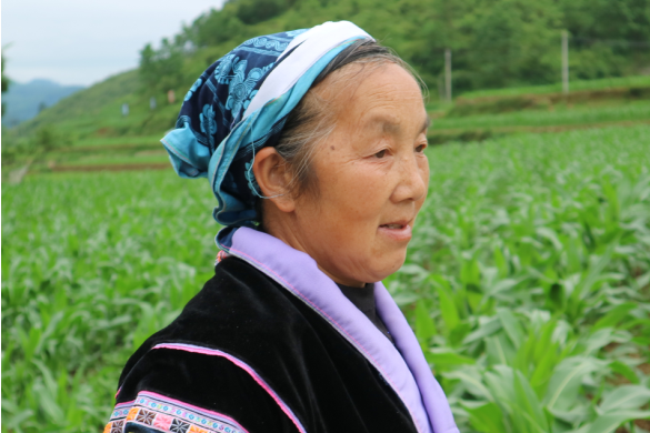 宋吉芬 宋吉芬