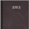 龍翔玉(真三國無雙所著小說) 龍翔玉(真三國無雙所著小說)