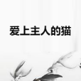 愛上主人的貓 愛上主人的貓