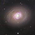 M94 M94