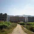鹹園村 鹹園村