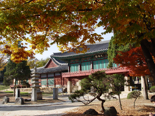 韓國龍珠寺