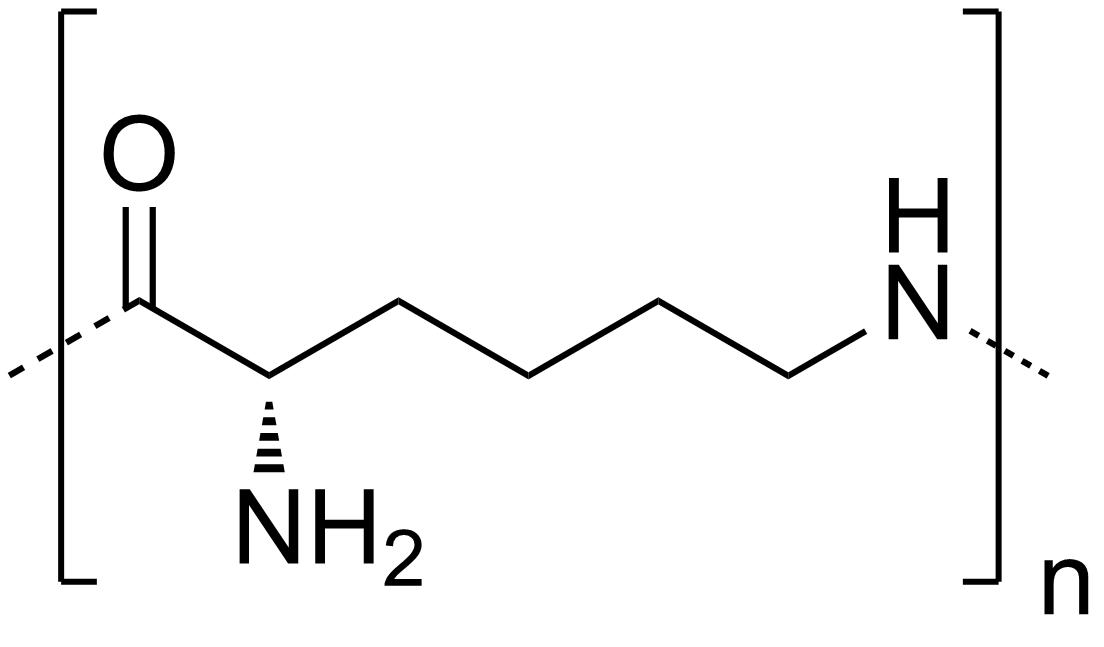 聚賴氨酸