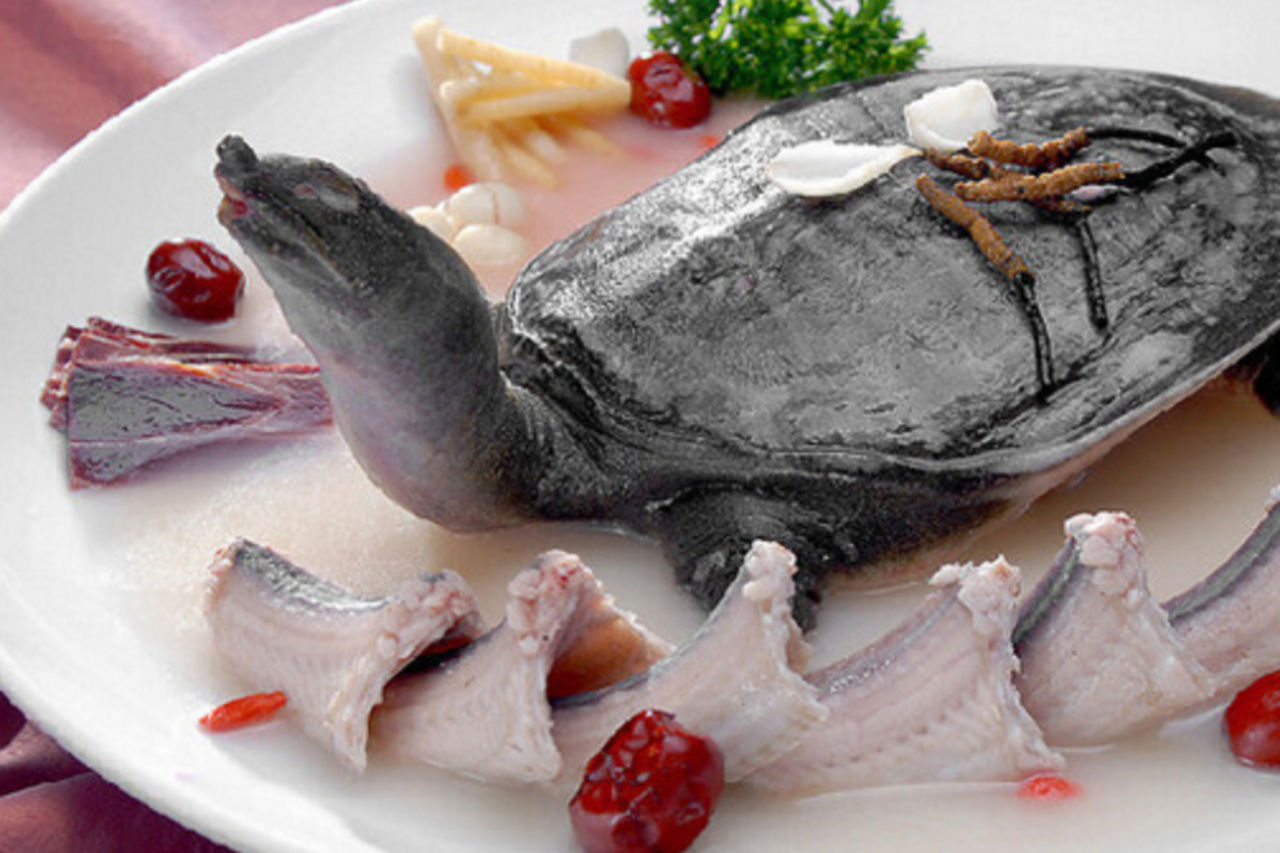 大蒜燉甲魚