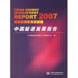 2007中國能源發展報告