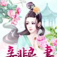 妾非良妻 妾非良妻