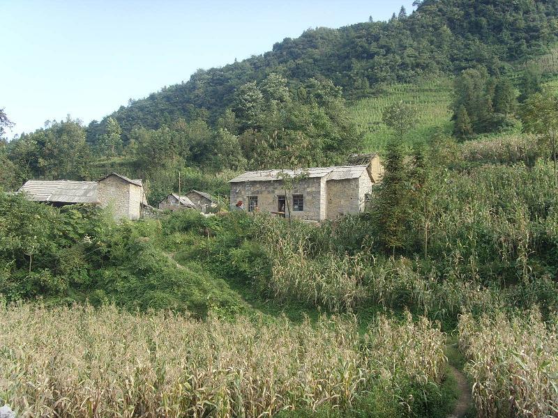 塘溝自然村 塘溝自然村