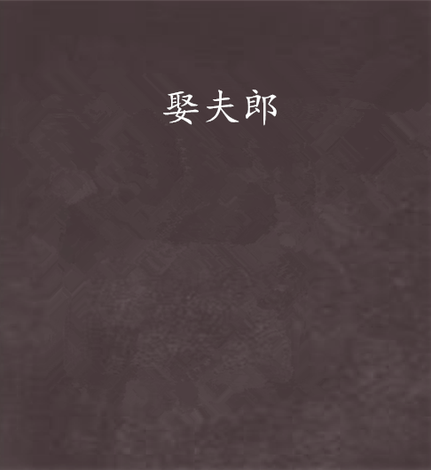 娶夫郎 娶夫郎