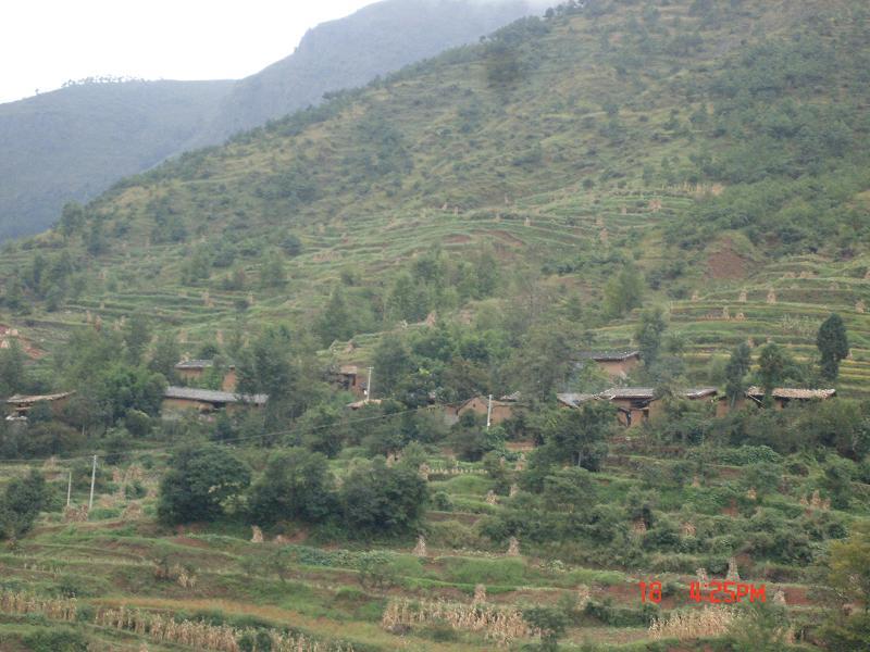荒坡村 荒坡村
