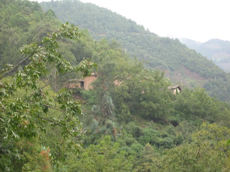 桃子山村 桃子山村