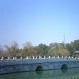 北海大橋 北海大橋