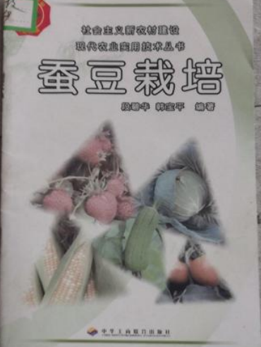 蠶豆栽培 蠶豆栽培