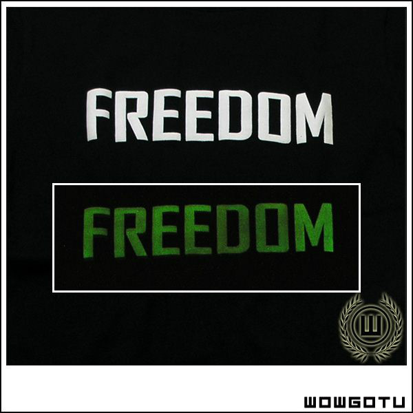 freedom(《火影忍者疾風伝》歌曲)