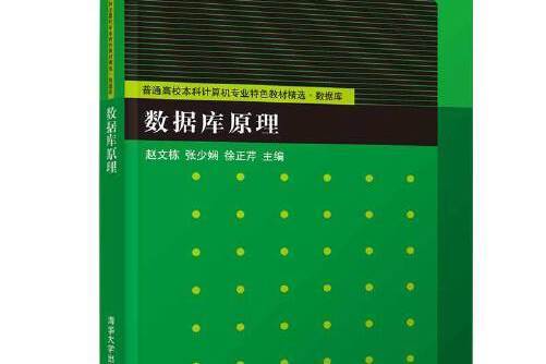資料庫原理(2019年清華大學出版社出版的圖書)