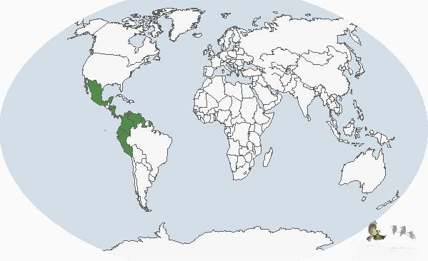 棕頸林秧雞分布圖