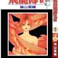 飛龍傳奇(貓山宮緒創作的魔法類漫畫作品) 飛龍傳奇(貓山宮緒創作的魔法類漫畫作品)