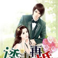 誘妻再婚 誘妻再婚