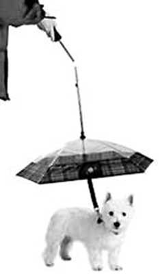 寵物雨傘
