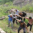 辛勤(詞語) 辛勤(詞語)