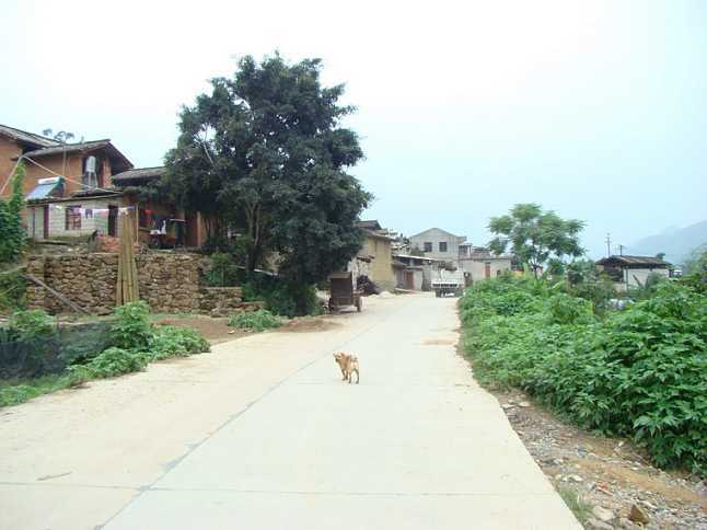 上班秧村 上班秧村