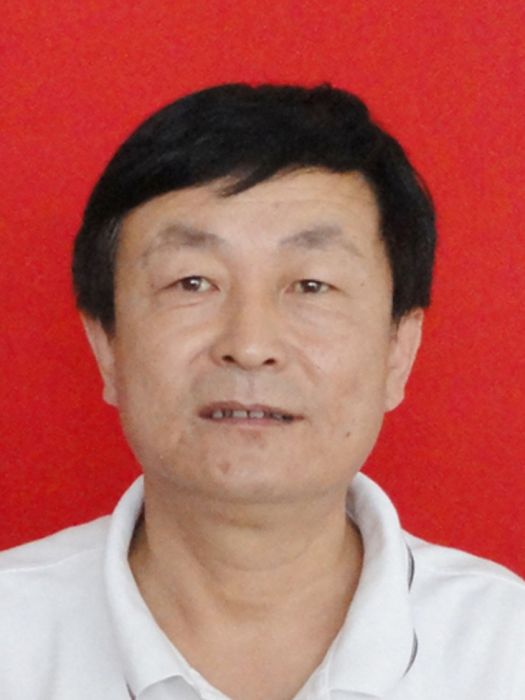 王西平(陝西省銅川市新區管委會副調研員) 王西平(陝西省銅川市新區管委會副調研員)
