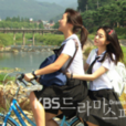秘密的花園(韓國2010年文俊河導演電視劇) 秘密的花園(韓國2010年文俊河導演電視劇)