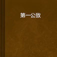 第一公敵 第一公敵