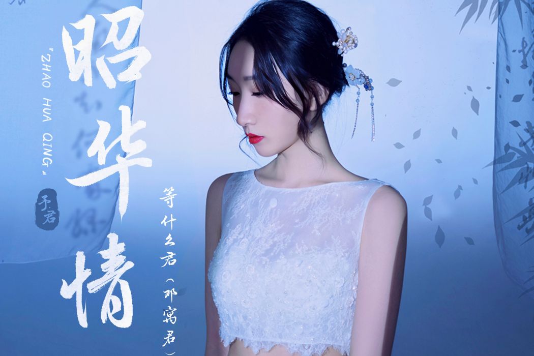 昭華情 昭華情