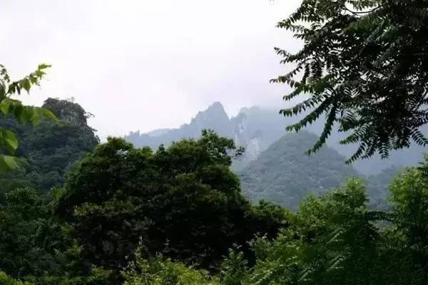 甘肅省小隴山國家森林公園