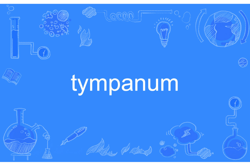 tympanum tympanum