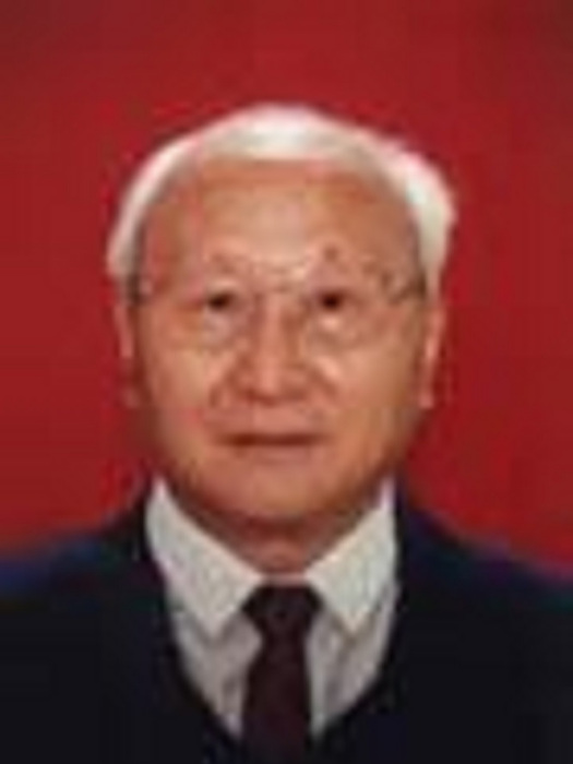 陳啟弟(中國書法家協會會員) 陳啟弟(中國書法家協會會員)