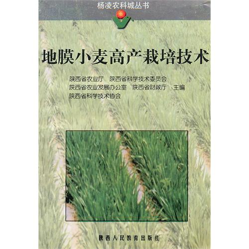 地膜小麥高產栽培技術
