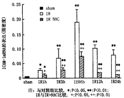 細胞粘附分子(圖1)