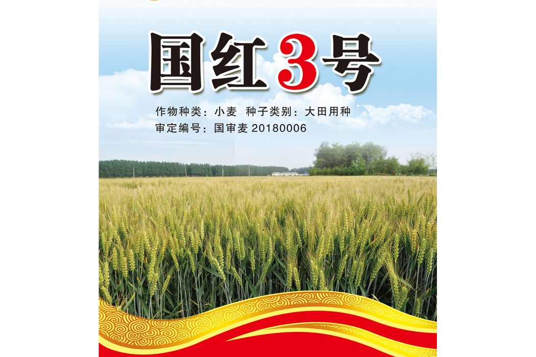 國紅3號 國紅3號