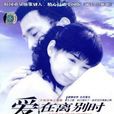愛,在離別時(愛在離別時(2005年黃奕、車仁表主演的電視劇)) 愛,在離別時(愛在離別時(2005年黃奕、車仁表主演的電視劇))