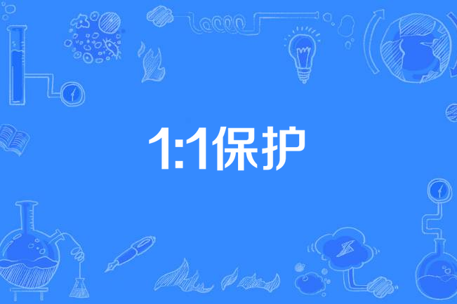 1:1保護 1:1保護