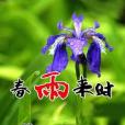 春雨來時 春雨來時
