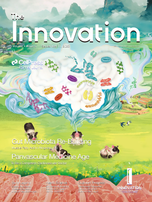 The Innovation The Innovation
