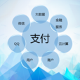 非銀行支付機構網路支付清算平台(網聯（網路版銀聯）)