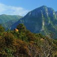 康家溝村(山西省和順縣餵馬鄉下轄村) 康家溝村(山西省和順縣餵馬鄉下轄村)