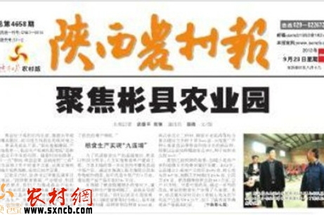 陝西農業 陝西農業