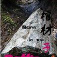棺材子(河上)